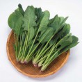 波菜
